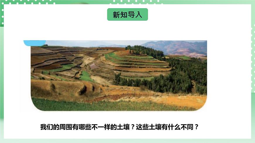 【核心素養(yǎng)】人教鄂教版科學(xué)三年級下冊 1.2《比較不同的土壤》課件第6頁