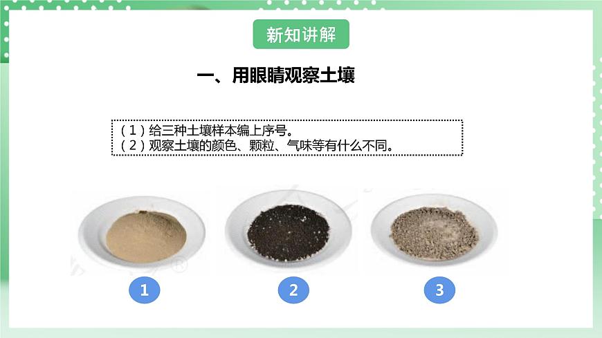 【核心素養(yǎng)】人教鄂教版科學(xué)三年級下冊 1.2《比較不同的土壤》課件第8頁