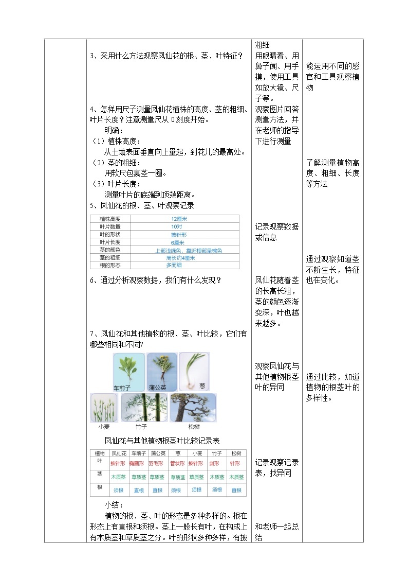 【核心素养】人教鄂教版科学三年级下册 2.6《根茎叶》课件+教案+分层练习02