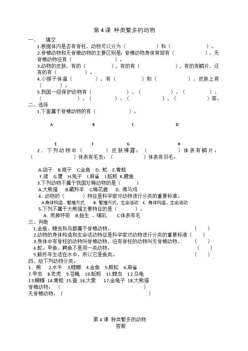 冀人版科学三年级下册 4《种类繁多的动物》课件+教案+练习01