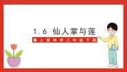 小学科学冀人版 (2017)三年级下册6 仙人掌与莲完美版ppt课件