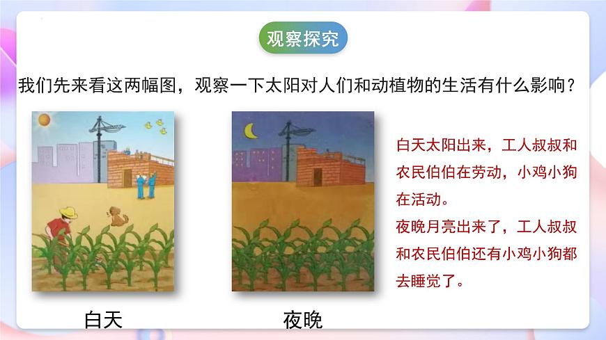 冀人版科學(xué)一年級(jí)下冊(cè)7《太陽(yáng)與生活》課件第7頁(yè)