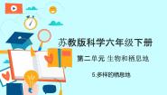 科学六年级下册5 多样的栖息地精品教学ppt课件