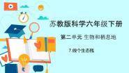 科学六年级下册7 做个生态瓶试讲课教学课件ppt