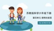 小学科学苏教版 (2017)六年级下册13 洁净的水域优秀教学课件ppt
