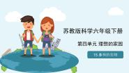 苏教版 (2017)六年级下册15 多样的生物获奖教学课件ppt