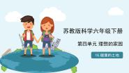 小学科学苏教版 (2017)六年级下册16 健康的土地优质教学ppt课件