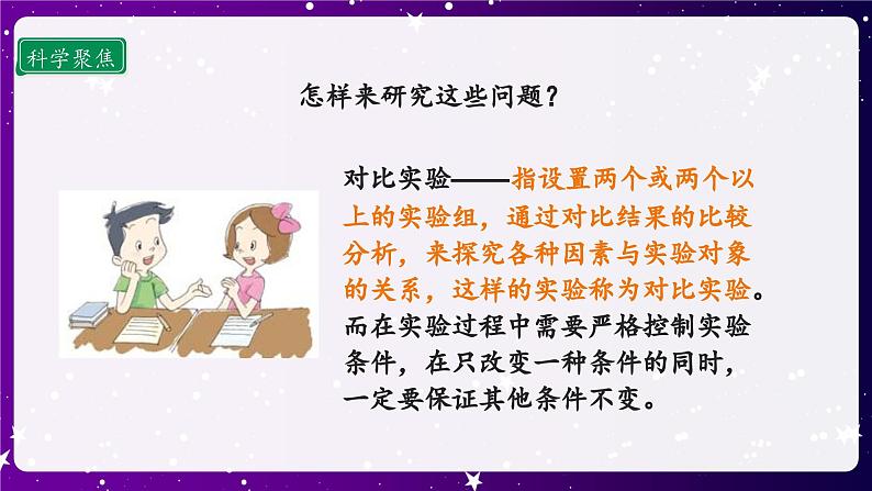 1.3 绿豆苗的生长 课件第6页
