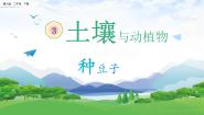 小学科学冀人版 (2017)二年级下册土壤与动植物9 种豆子优质教学ppt课件