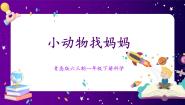 小学科学7 小动物找妈妈优秀ppt课件