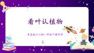 青岛版 (六三制2017)一年级下册10 看叶认植物一等奖ppt课件