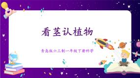 小学科学第三单元 和植物捏个手11 看茎认植物优秀课件ppt