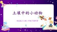 科学一年级下册14 土壤中的小动物优秀课件ppt
