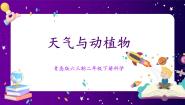 青岛版 (六三制2017)二年级下册9 天气与动植物优质ppt课件