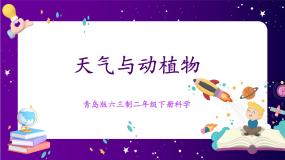 青岛版 (六三制2017)二年级下册9 天气与动植物优质ppt课件