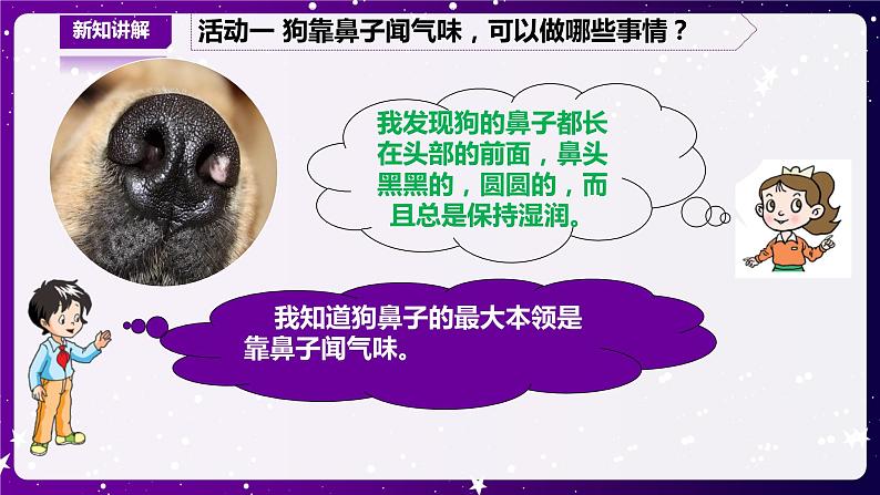 【青岛版六三制】二下科学 4.13动物的鼻子 课件+教案+练习+素材05