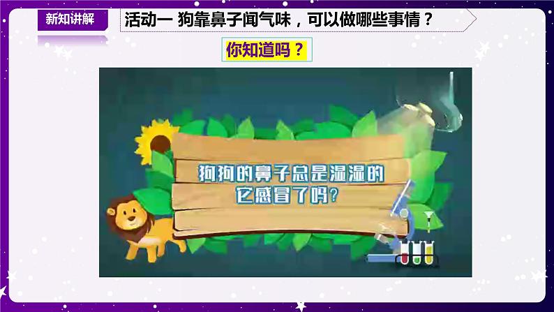 【青岛版六三制】二下科学 4.13动物的鼻子 课件+教案+练习+素材06