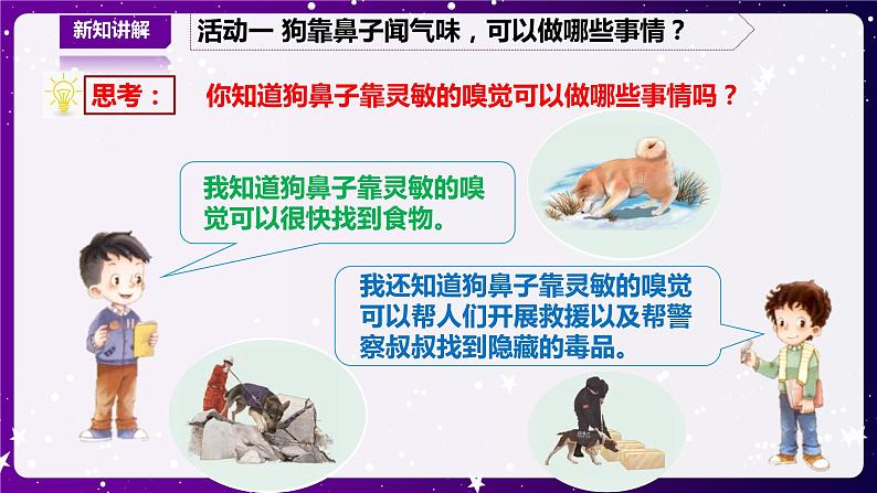 【青岛版六三制】二下科学 4.13动物的鼻子 课件+教案+练习+素材07