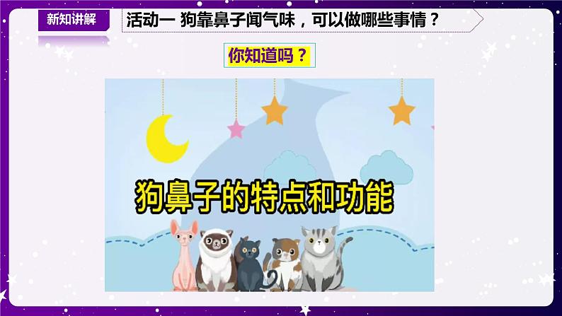 【青岛版六三制】二下科学 4.13动物的鼻子 课件+教案+练习+素材08