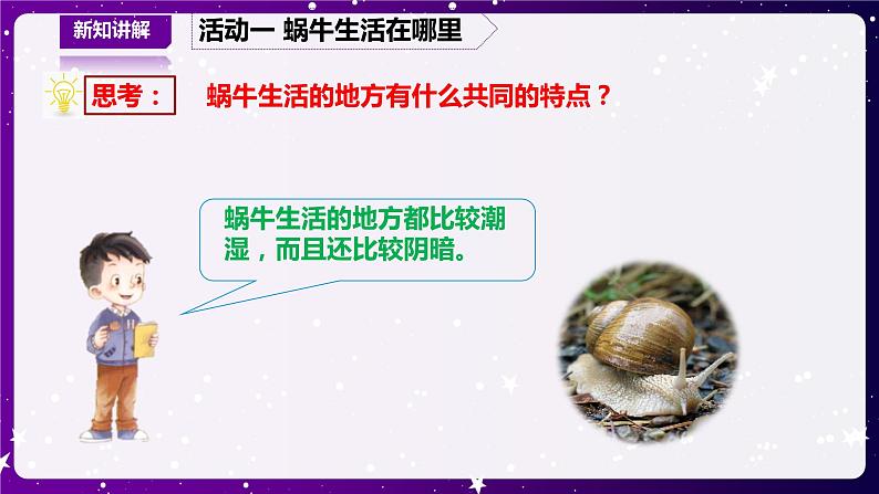 【青岛版六三制】二下科学 4.14观察蜗牛 课件+教案+练习 +素材05