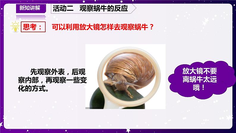 【青岛版六三制】二下科学 4.14观察蜗牛 课件+教案+练习 +素材08