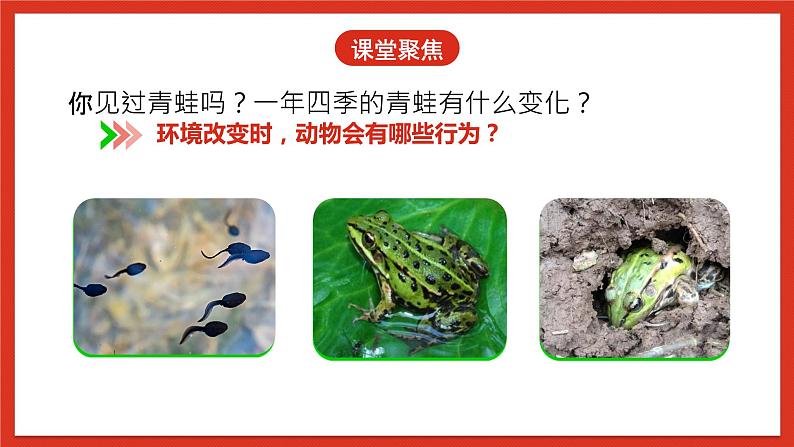 教科版科学五年级下册1.5《当环境改变了》课件+教案+练习04