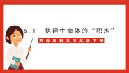 苏教版 (2017)五年级下册1 搭建生命体的“积木”一等奖ppt课件