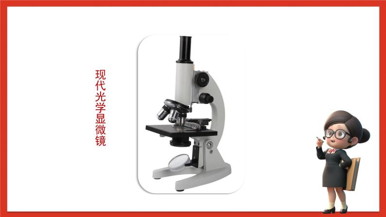 苏教版科学五下 1.1 《搭建生命体的“积木”》课件+教案06