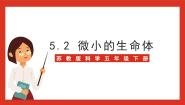 小学科学苏教版 (2017)五年级下册2 微小的生命体优质课ppt课件