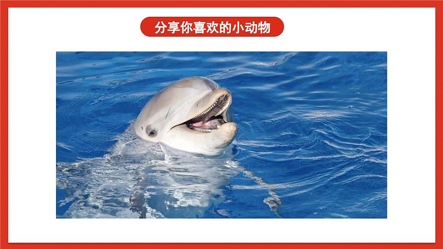 蘇教版科學五下 7《海豚與聲吶》課件第2頁