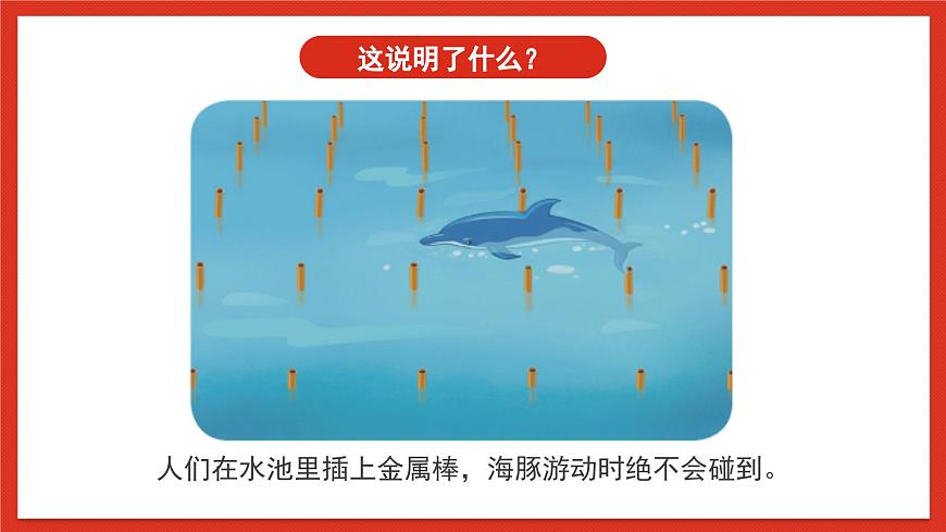 蘇教版科學五下 7《海豚與聲吶》課件第4頁