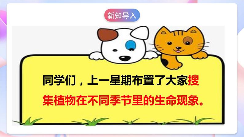 【核心素养】大象版科学二年级下册 准备单元3.3《四季与植物》课件+教案+分层练习(含答案)+素材06