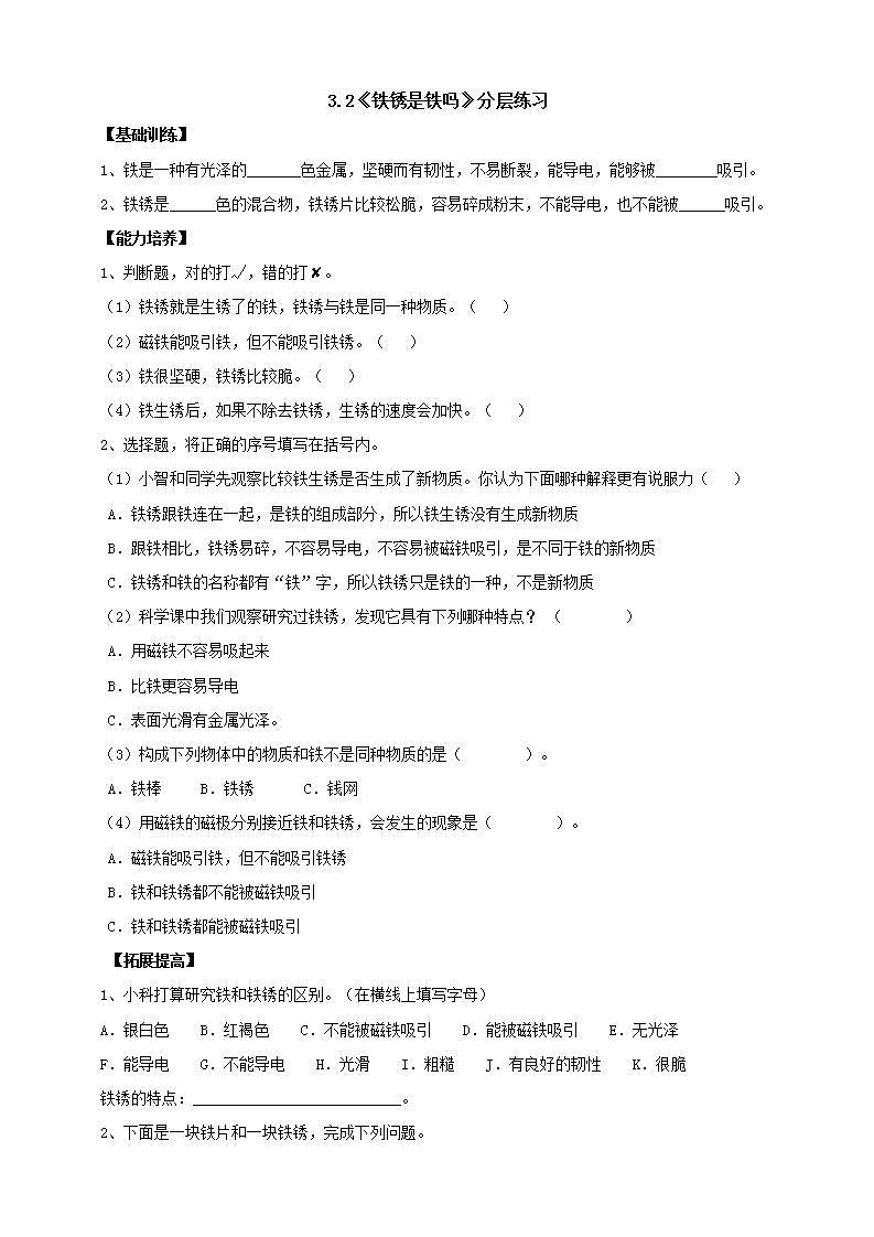 【核心素养】大象版科学六年级下册3.2《铁锈还是铁吗》课件+教案+分层练习(含答案)+素材01