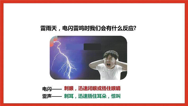 【核心素养】人教鄂教版科学五年级下册3.8《人的感知与反应》课件+教案+分层练习08