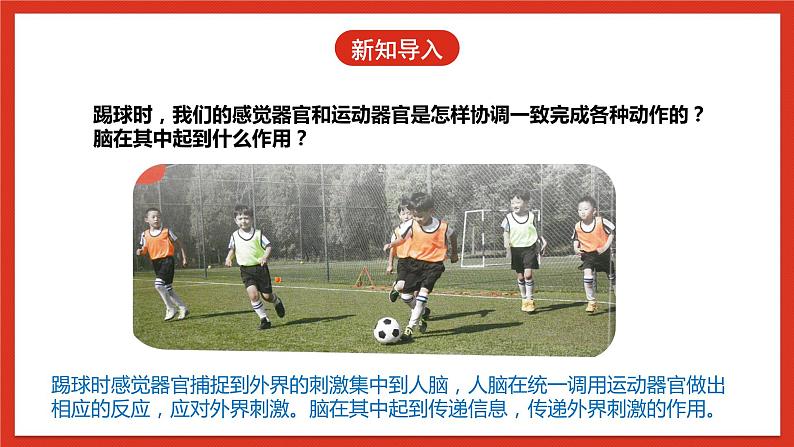 【核心素养】人教鄂教版科学五年级下册3.9《脑的功能》课件+教案+分层练习06