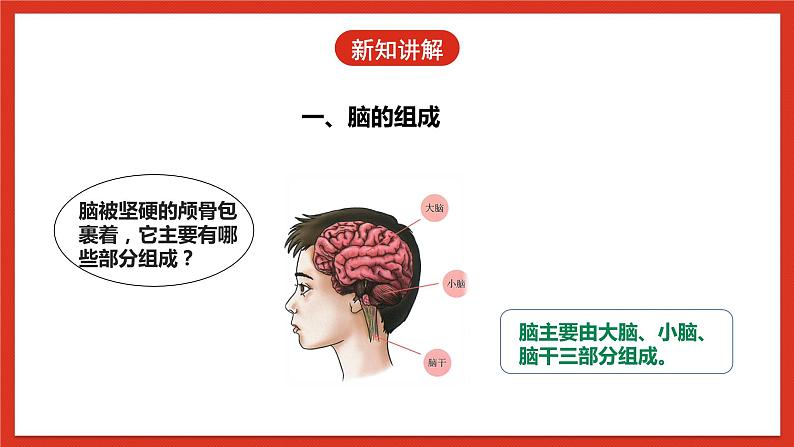 【核心素养】人教鄂教版科学五年级下册3.9《脑的功能》课件+教案+分层练习08