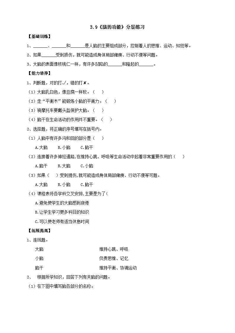 【核心素养】人教鄂教版科学五年级下册3.9《脑的功能》课件+教案+分层练习01