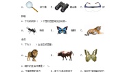 小学科学2.校园里的动物同步测试题