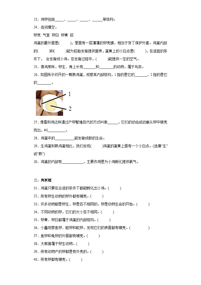 教科版科学三年级下册2.2《认识其他动物的卵》习题第3页