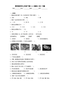 科学6.蚕的一生练习题