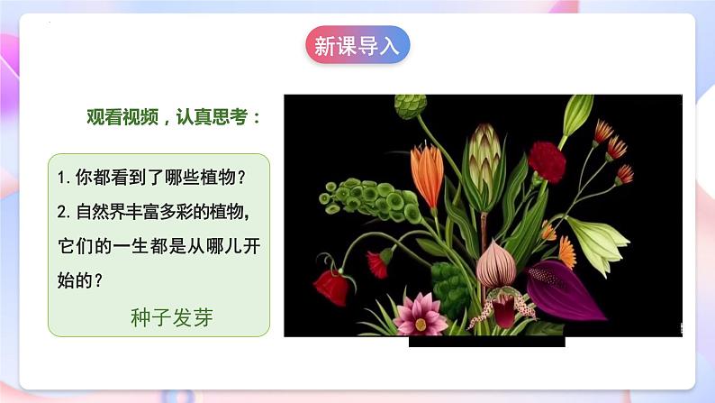 苏教版科学三年级下册1.1《种子发芽了》课件+教案+练习(含答案)+素材05