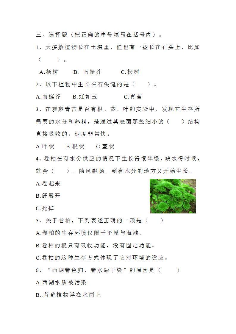 苏教版科学三年级下册2.8《石头上的植物》课件+教案+练习（含答案）+素材02