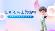 苏教版 (2017)三年级下册8 石头上的植物优秀课件ppt