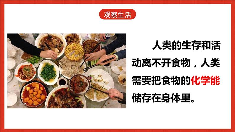 大象版科学五年级下册 准备单元2.5《能量大转盘》课件04