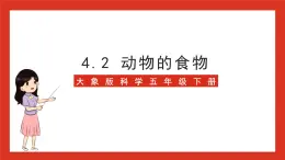 大象版科学五年级下册 准备单元4.2《动物的食物》课件