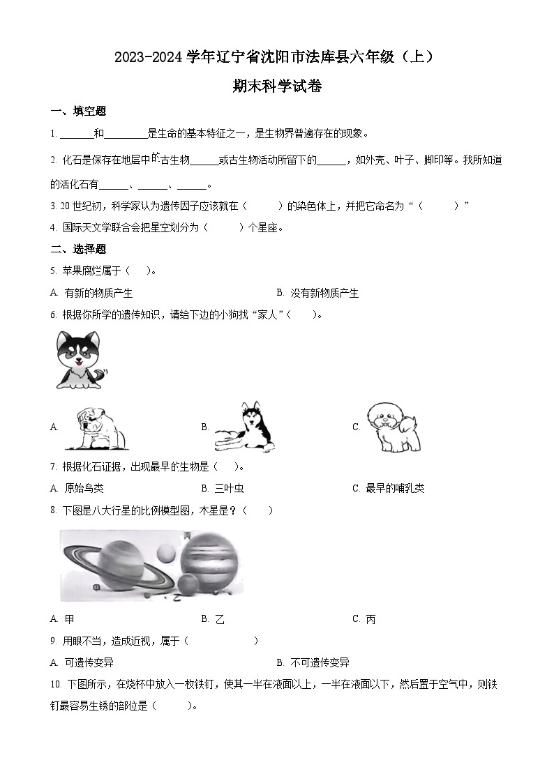 2023-2024学年辽宁省沈阳市法库县苏教版六年级上册期末考试科学试卷（原卷+解析）01