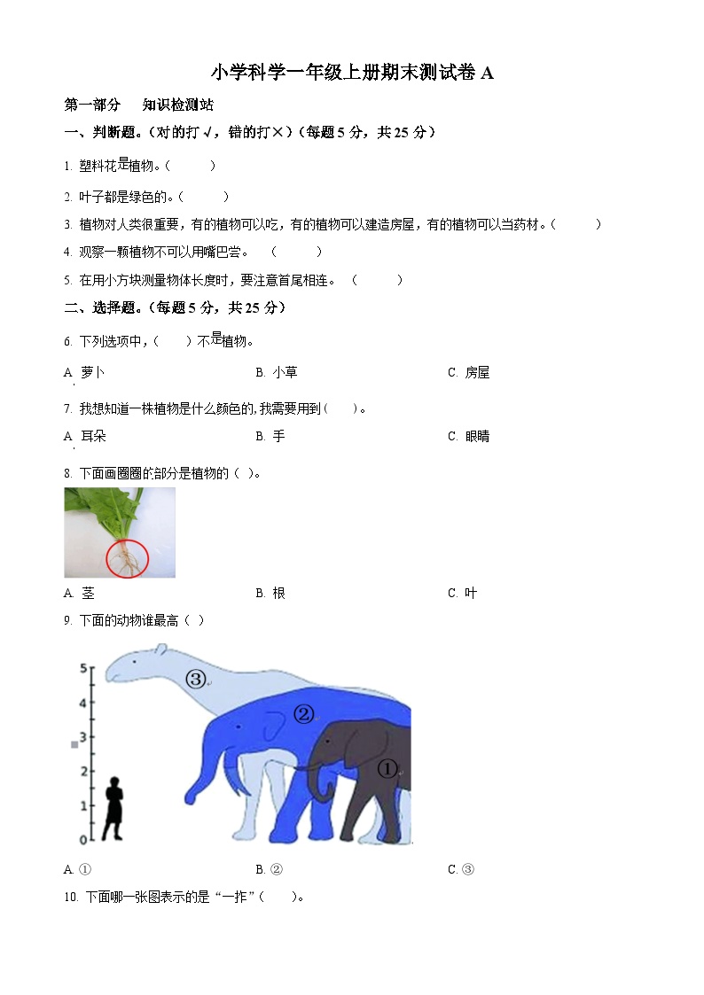 2022-2023学年浙江省宁波市鄞州区实验小学教科版一年级上册期末检测科学试卷A（原卷+解析）