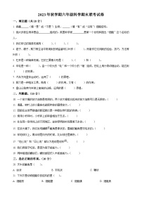 2023-2024学年甘肃省武威市凉州区西关片区教科版六年级上册期末考试科学试卷(原卷+解析)