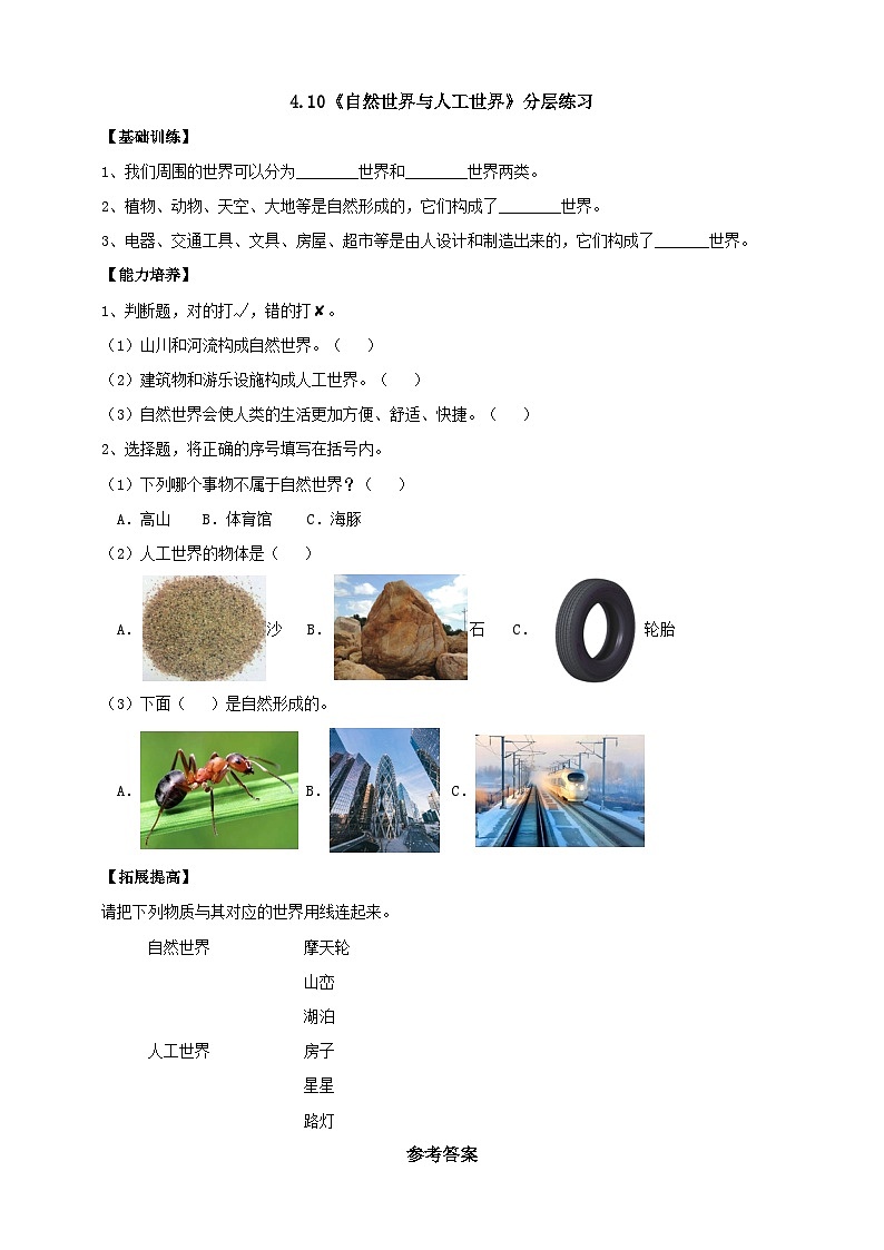 【新课标】4.10《自然世界与人工世界》分层练习(含答案)第1页