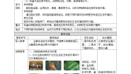 科学四年级下册11 不同环境中的动物教案设计